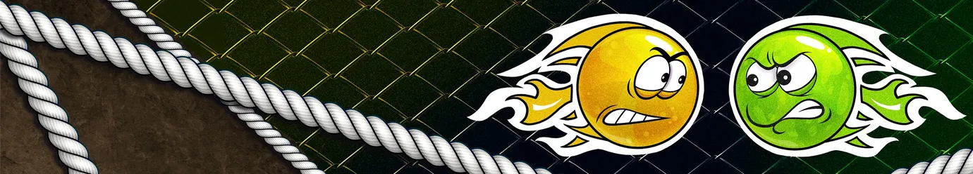 საერთაშორისო ლიგა MMA